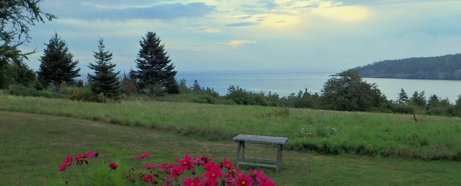 Reservation Request The Inn At Whale Cove Cottages
